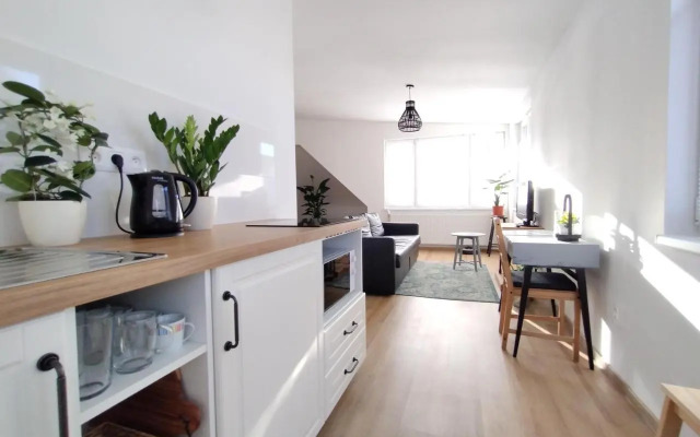 Attic studio Cathouse shared