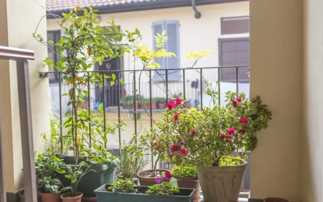 Homy Apartments Altaguardia