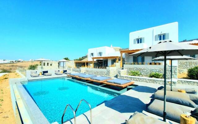 Privilege houses Mykonos by villa evi