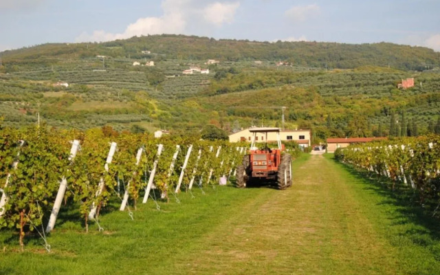 Agriturismo Corte Moranda