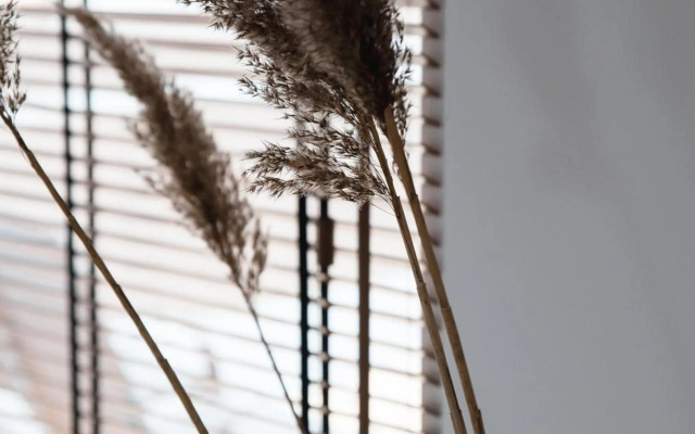 Palmes.pirmas.sezonas