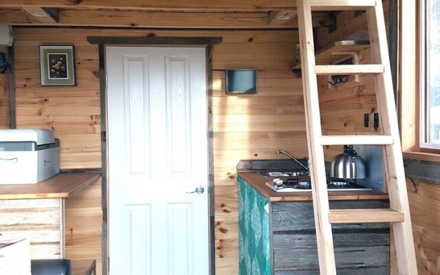 Big Tiny Dale View Tiny House