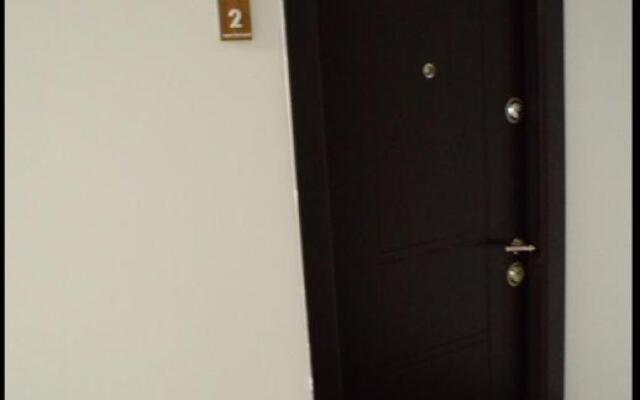 Vivamus Studio