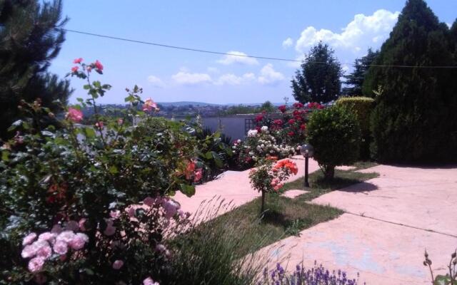 Villa Byala Grape House