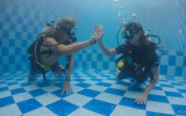 Dpm Gili T Diving Hostel & Bar