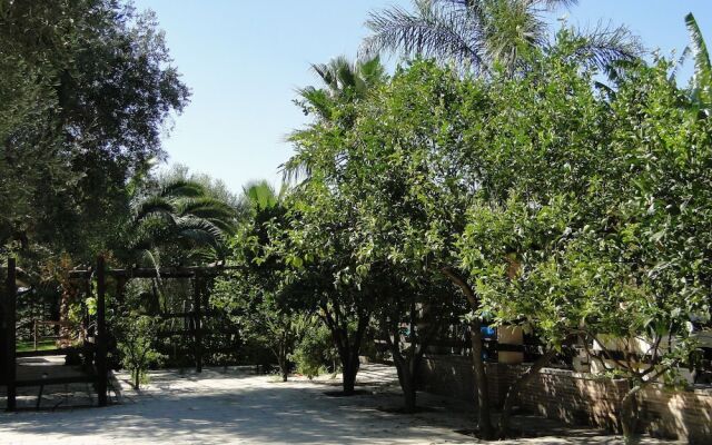 Secluded Holiday Home in Matino With Swimming Pool