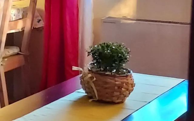 Jaśminowe Wzgórze