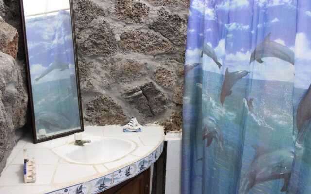 Galapagos Penguin Hostel