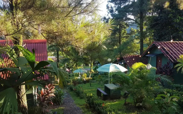 Los Pinos De Torio