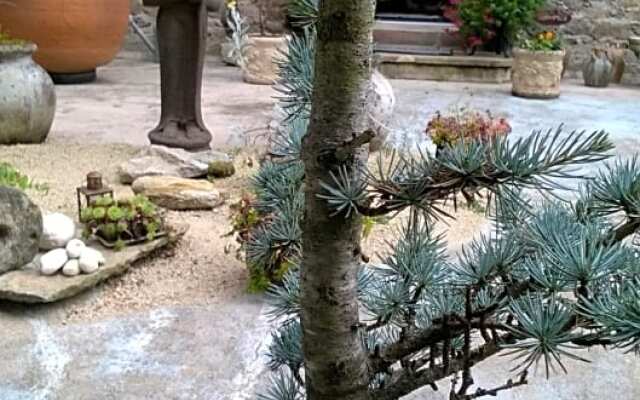 Chambre Bounty cuisine privée, salle d'eau, terrasse, garage