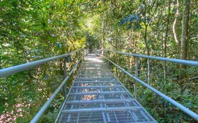 Gibbon Retreat Bentong
