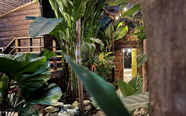 Wild Coffee Retreat - Adults Only
