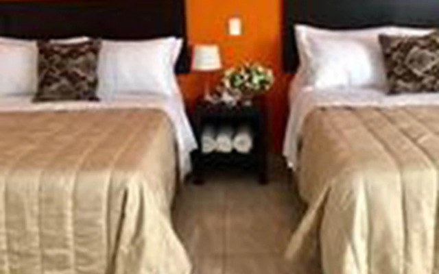 Zamora Ejecutivo Express