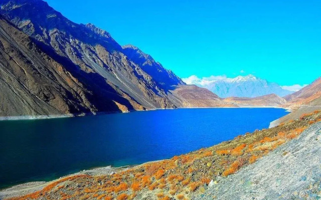 Harriot Skardu