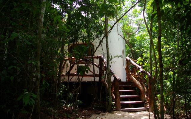 Jolie Jungle Eco Hotel
