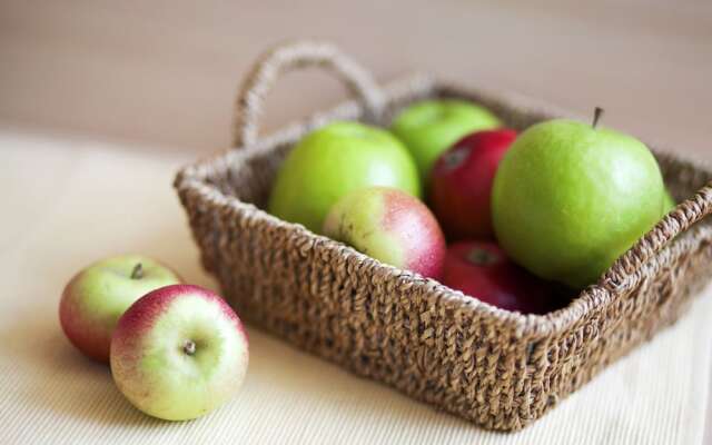 Hotel Villa Freiheim