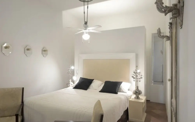 Allegra Experience