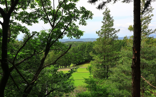 Angel Forest Izu Skyline