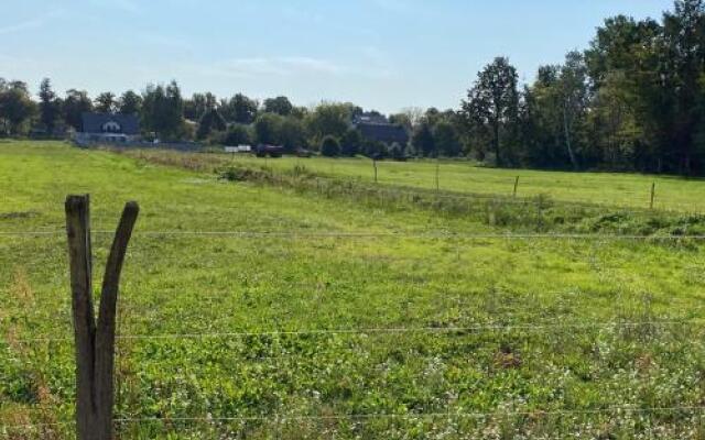 Moderne Wohnung im Grünen