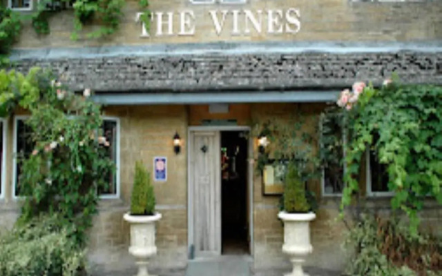The Vines