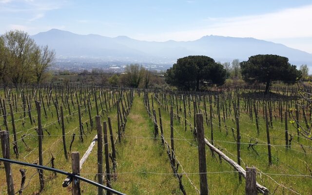 Room-apartment Pompeii Rendine