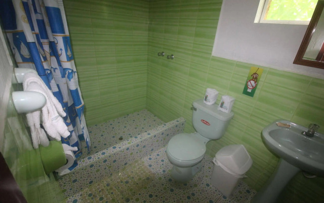 Amazon Rainforest Lodge