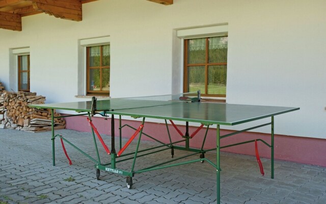 Lovely Apartment in Leutasch With Meadow Around