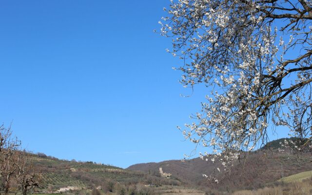 Fattoria di Rigone