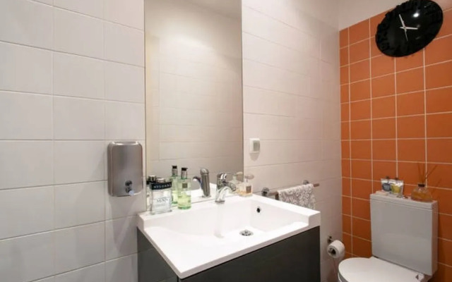 Deluxe city center flat