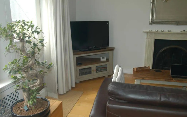 D Collection @Kensington