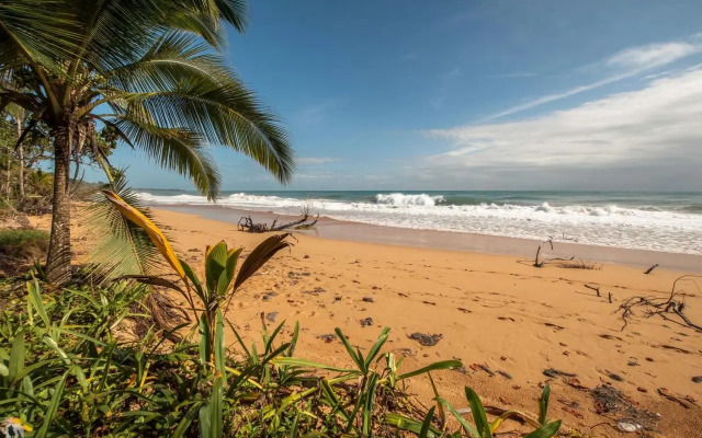 Bocas Condos Rentals