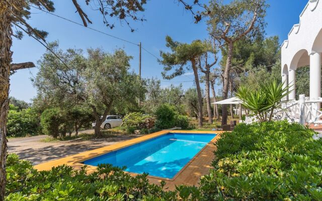 2929 Villa Garden Rose by Barbarhouse