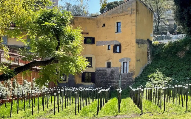 Rm-h501-gari36c2 Il Mulino di Trastevere - G3