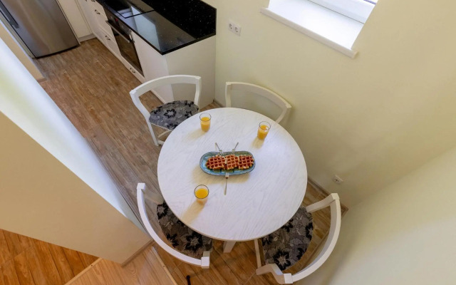 Basanavičiaus street apartaments with view No 1