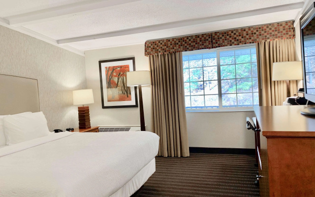 Best Western Springfield Hotel