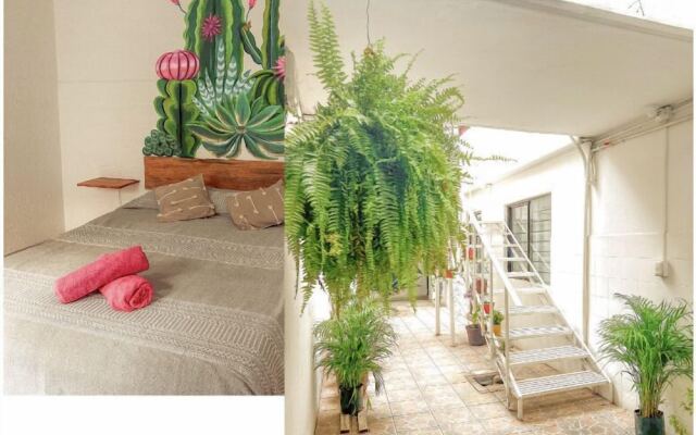 Hostel Casa Maguey