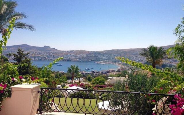 BO092 by Villaofsummer