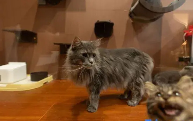 Ruyard (Datong Ancient City Branch)