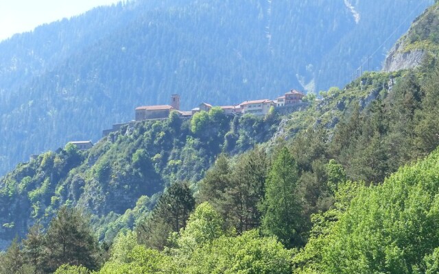 Les Libellules