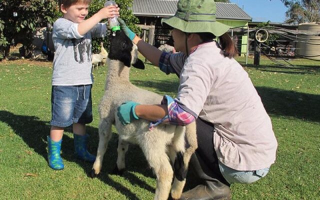 Lee Farm Stay Cottages