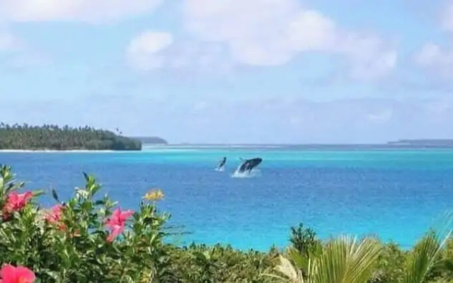 Mahina Lodge