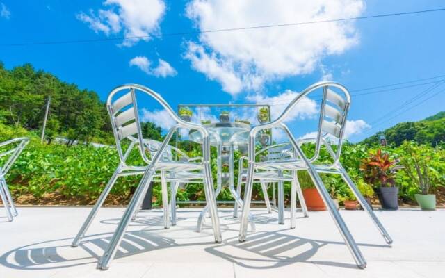 Andong Tom Sawyer's Adventure Pension