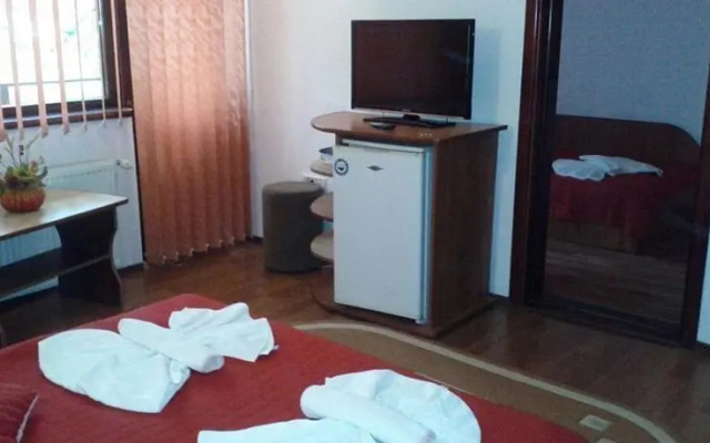 Pensiunea Europa Olanesti