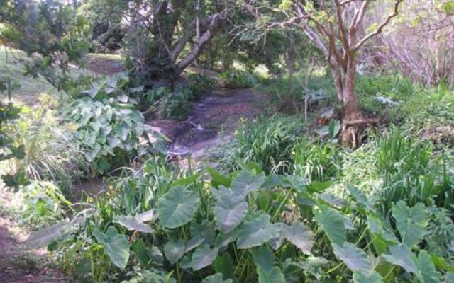 Macnut Farm Wedding & Function Venue