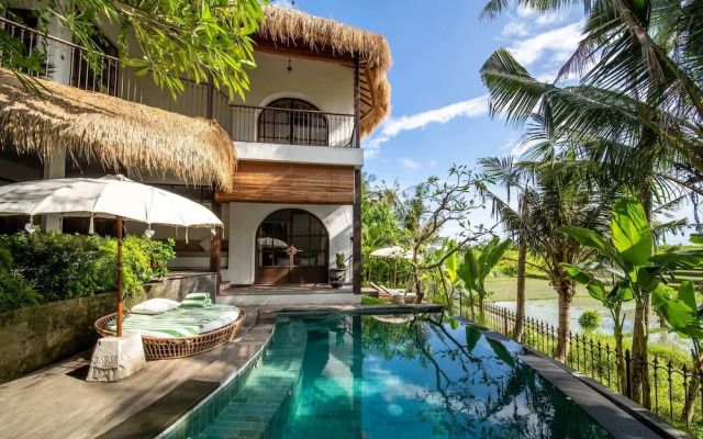 Tropical Private Villa, 3 BR, Canggu Ricefield View