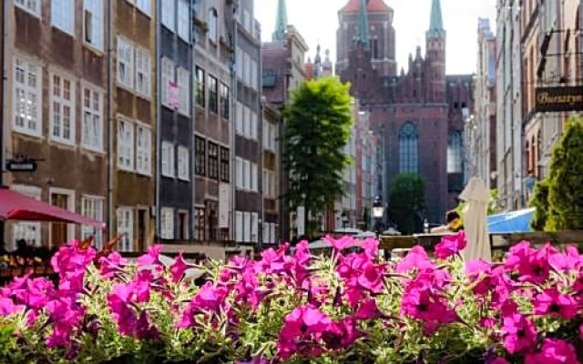 Kamienica 22 Stare Miasto