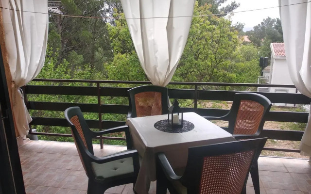 Apartment Savic