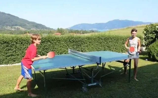 Ferienwohnung Seiringer