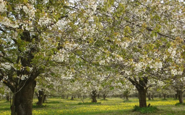 Vakantiewoning Seaewald