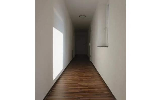 Mitte  24